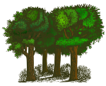 Colorized Group of Trees